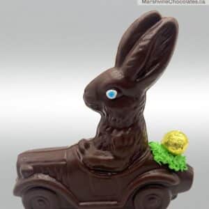 Rabbit Driving Car