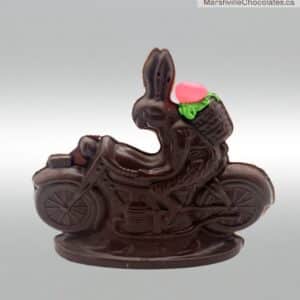 Rabbit Driving Motorcycle