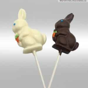 Rabbit Holding Carrot Sucker