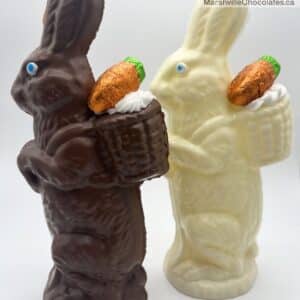 Rabbit with Carrot on Back