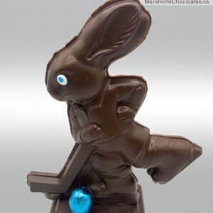 Hockey Bunny