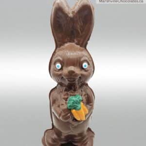 Rabbit Holding Carrots