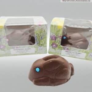 Truffle Bunny